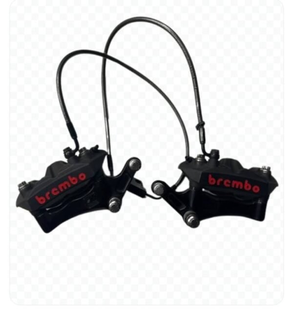 Brembo Dual Radial Mount Setup
