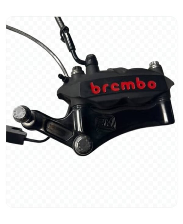 Brembo Dual Radial Mount Setup - Image 2