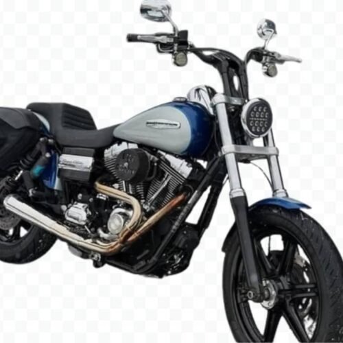 2010 Super Glide