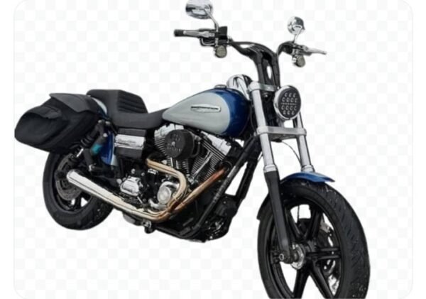 2010 Super Glide
