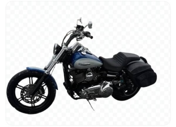 2010 Super Glide - Image 7