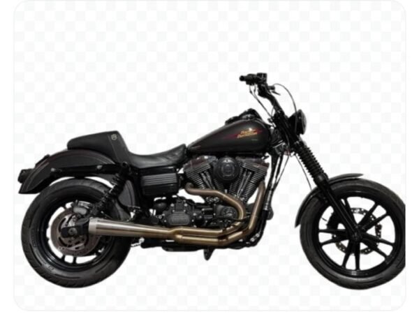 2009 FXDL - Image 2