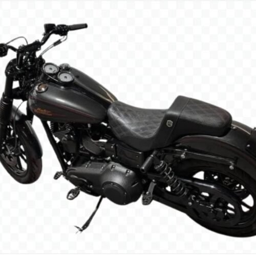 2009 FXDL