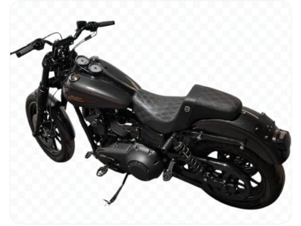 2009 FXDL