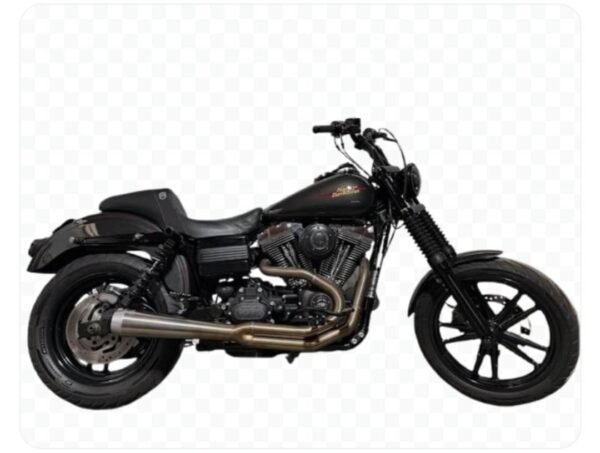 2009 FXDL - Image 4