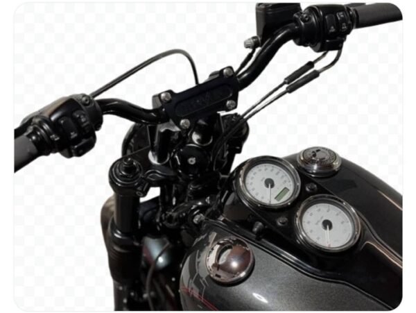 2009 FXDL - Image 5