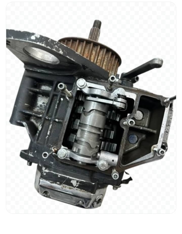 WhatsApp Image 2025 03 11 at 6.56.37 AM1