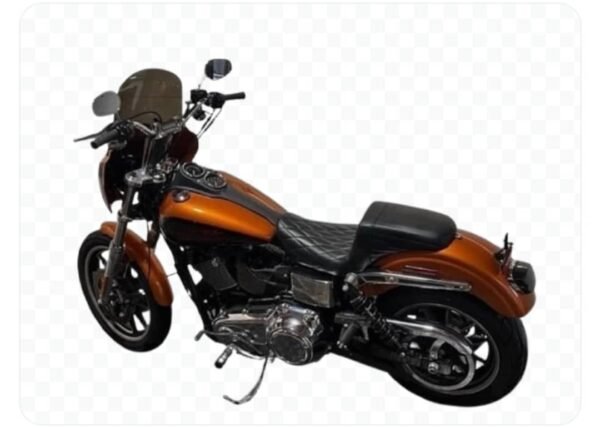 2014 FXDL - Image 3