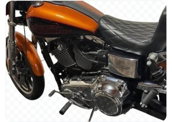 2014 FXDL - Image 5