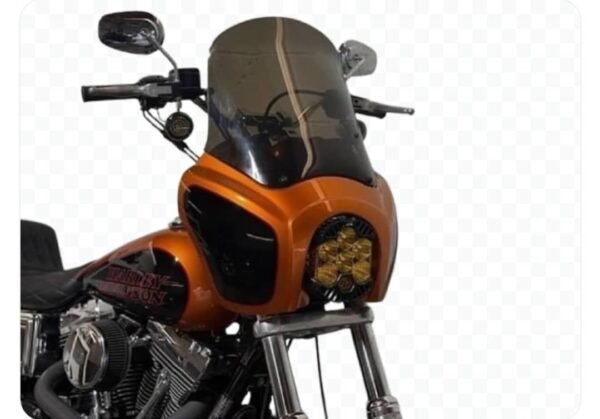 2014 FXDL - Image 7