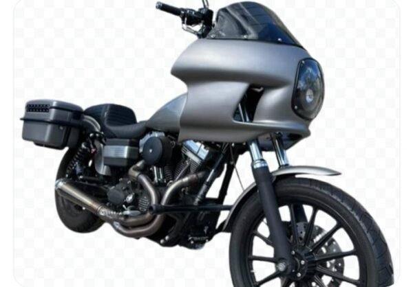 Custom Harley-Davidson - Image 2