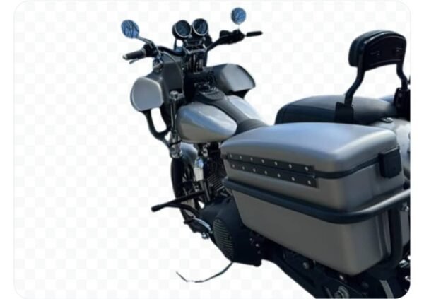Custom Harley-Davidson - Image 5